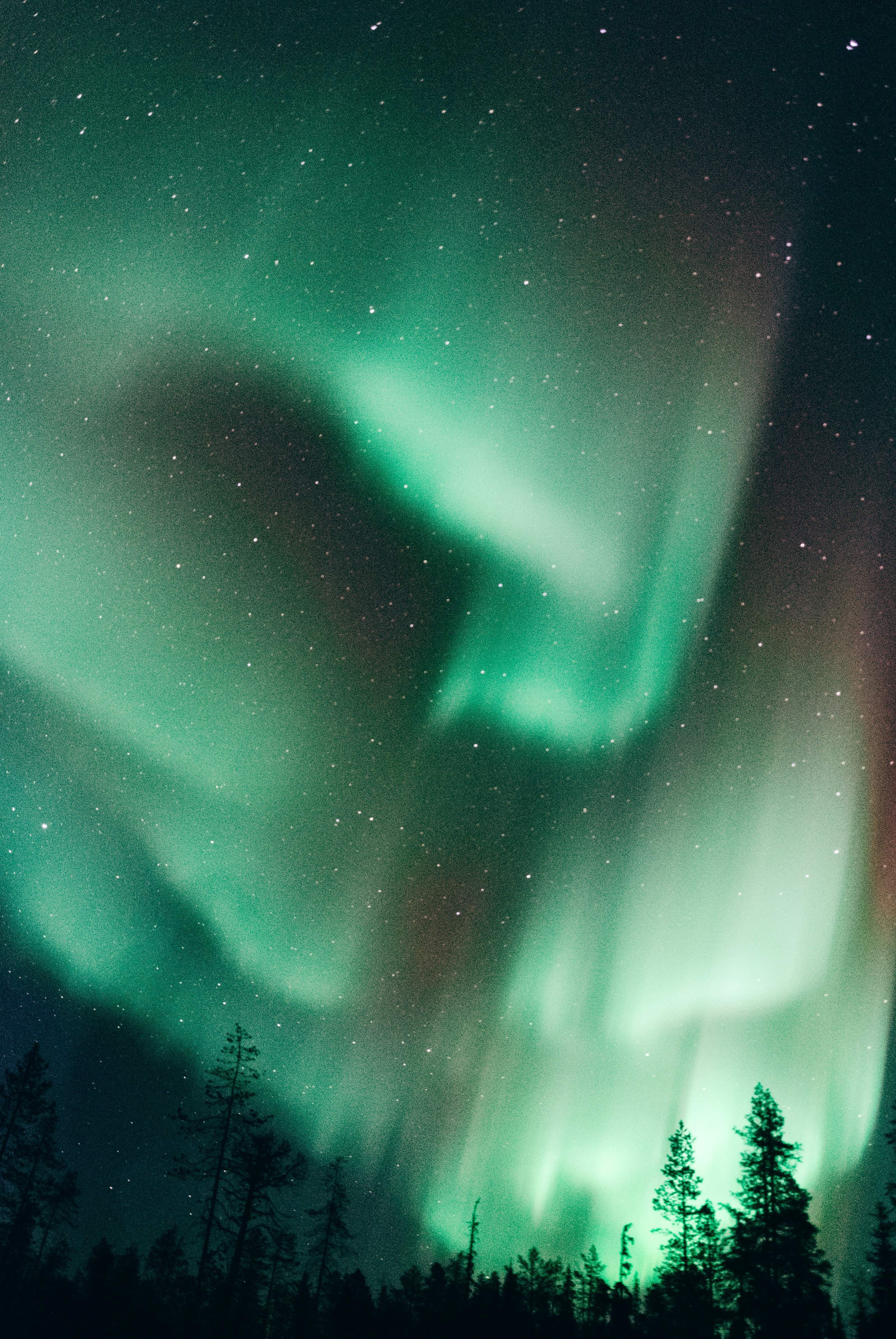 lucas-marcomini-aurora
